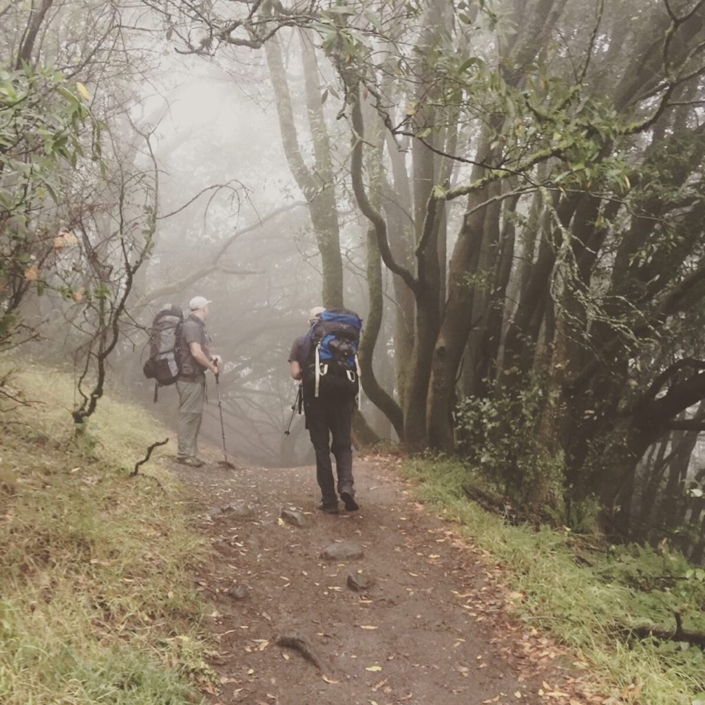 Hikers in the fog