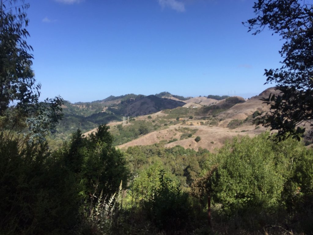 The view from Sibley Backpack Camp