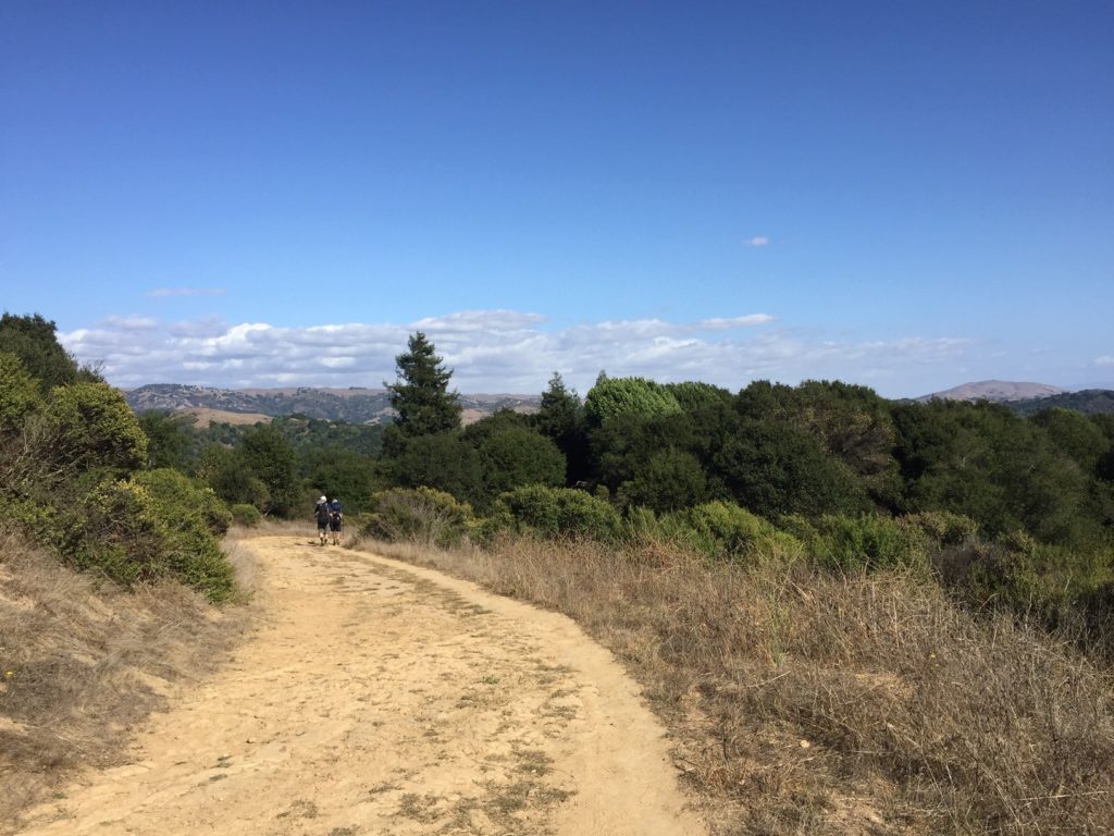 The trail to Bort Meadows