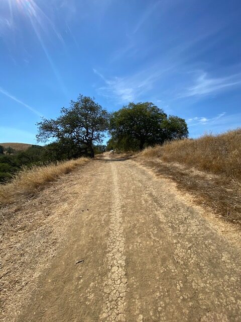 The dusty trail leading up Mt Wanda