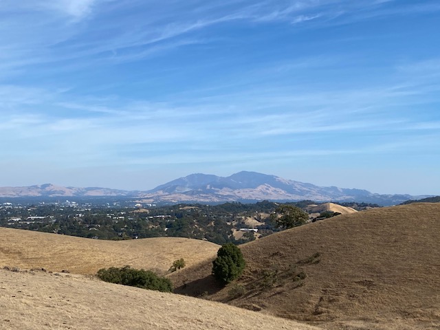 Golden hills with Mt Diablo in the background