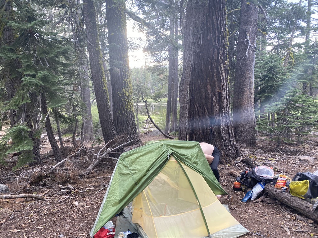 Our tent under the trees near Watson Lake