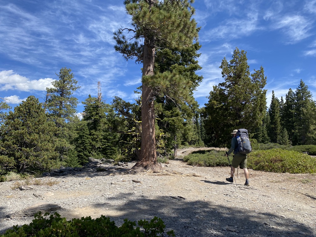 A hiker walks the Tahoe Rim Trail